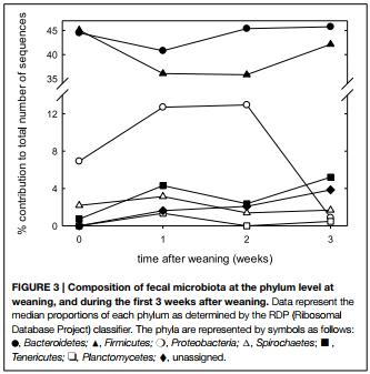 Reutericyclin producing Lactobacillus reuteri modulates development of fecal microbiota in weanling pigs - Image 5