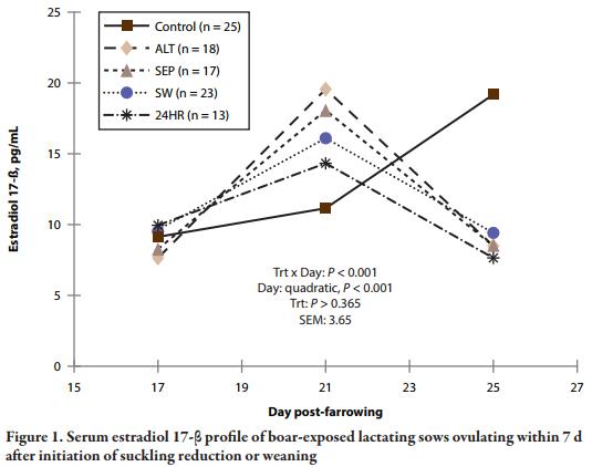 Nursing Reduction Strategies to Enhance Estrus in Lactating Sows and Effects on Performance of Pigs to Market Weight - Image 10