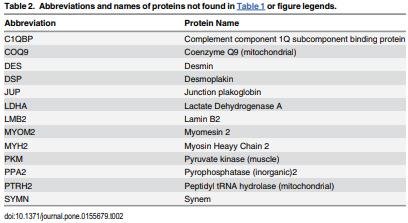 Proteomics of Breast Muscle Tissue Associated with the Phenotypic Expression of Feed Efficiency within a Pedigree Male Broiler Line: I. Highlight on Mitochondria - Image 5