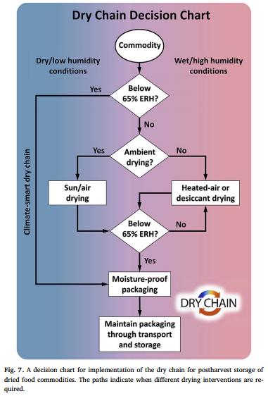 The dry chain: Reducing postharvest losses and improving food safety in humid climates - Image 7