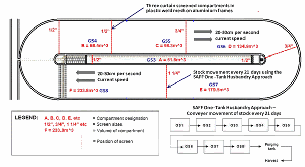 Optimizing tilapia biofloc technology systems, part 1 - Image 5