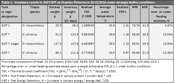 Optimizing tilapia biofloc technology systems, part 2 - Image 7