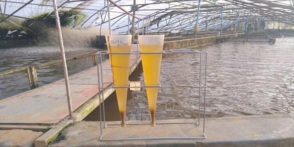 Optimizing tilapia biofloc technology systems, part 2 - Image 6