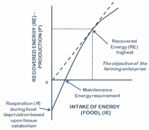 Optimizing tilapia biofloc technology systems, part 2 - Image 5