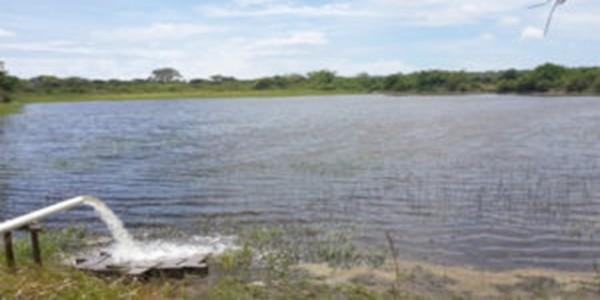 Optimizing tilapia biofloc technology systems, part 3 - Image 7