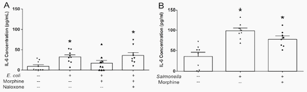 Morphine Attenuates Apically-Directed Cytokine Secretion from Intestinal Epithelial Cells in Response to Enteric Pathogens - Image 1