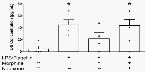 Morphine Attenuates Apically-Directed Cytokine Secretion from Intestinal Epithelial Cells in Response to Enteric Pathogens - Image 3