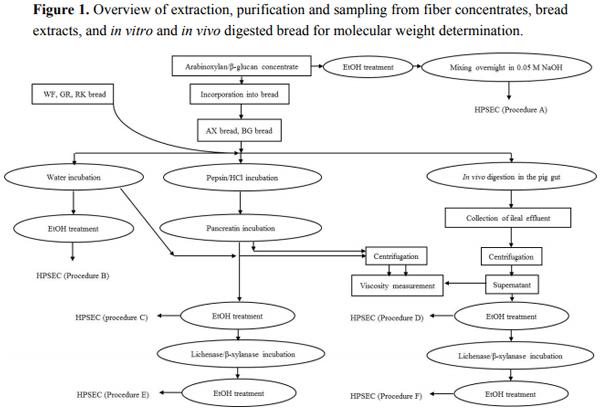 Changes in Molecular Characteristics of Cereal Carbohydrates after Processing and Digestion - Image 1