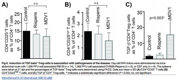 Association of Marek’s Disease induced immunosuppression with activation of a novel regulatory T cells in chickens - Image 6