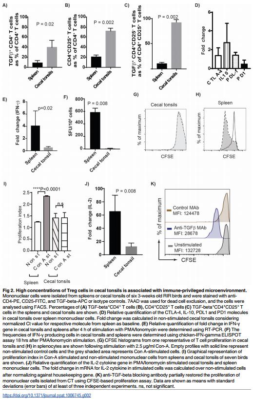 Association of Marek’s Disease induced immunosuppression with activation of a novel regulatory T cells in chickens - Image 2