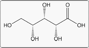 Xylose: absorption, fermentation, and postabsorptive metabolism in the pig - Image 3