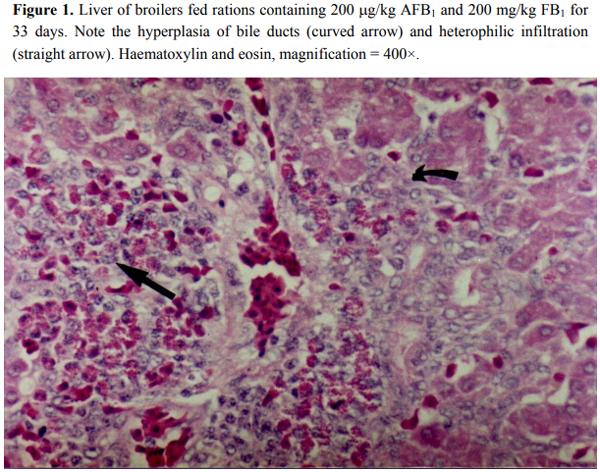 Effects of Aflatoxin B1 and Fumonisin B1 on Blood Biochemical Parameters in Broilers - Image 2