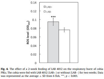 Diet supplementation of Pediococcus pentosaceus in cobia (Rachycentron canadum) enhances growth rate, respiratory burst and resistance against photobacteriosis - Image 4
