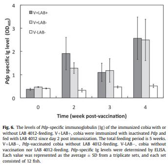 Diet supplementation of Pediococcus pentosaceus in cobia (Rachycentron canadum) enhances growth rate, respiratory burst and resistance against photobacteriosis - Image 6