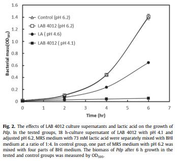 Diet supplementation of Pediococcus pentosaceus in cobia (Rachycentron canadum) enhances growth rate, respiratory burst and resistance against photobacteriosis - Image 2