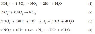 Nitrogen removal from swine wastewater by combining treated effluent with raw manure - Image 1