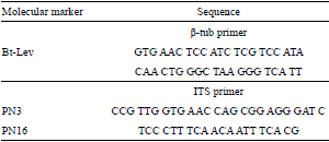 Fungicidal effect of silver nanoparticles on toxigenic fungi in cocoa - Image 1