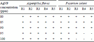 Fungicidal effect of silver nanoparticles on toxigenic fungi in cocoa - Image 2