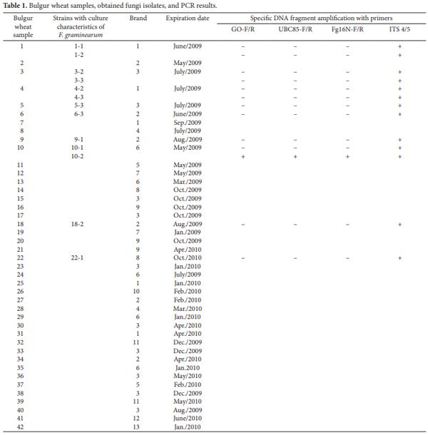 Use of the polymerase chain reaction for detection of Fusarium graminearum in bulgur wheat - Image 2