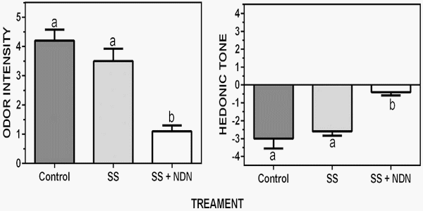 Improved water quality and reduction of odorous compounds in anaerobic lagoon columns receiving pre-treated pig wastewater - Image 5