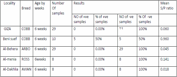 Role of histopathological examination in diagnosis of avian leucosis virus subtype J in broiler chicken in Egypt - Image 45