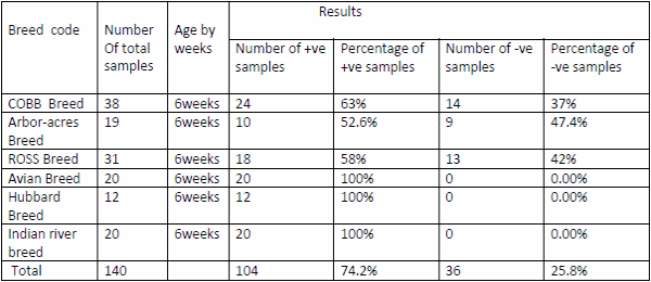 Role of histopathological examination in diagnosis of avian leucosis virus subtype J in broiler chicken in Egypt - Image 43