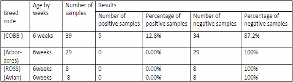 Role of histopathological examination in diagnosis of avian leucosis virus subtype J in broiler chicken in Egypt - Image 46