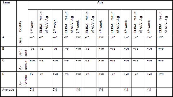 Role of histopathological examination in diagnosis of avian leucosis virus subtype J in broiler chicken in Egypt - Image 1