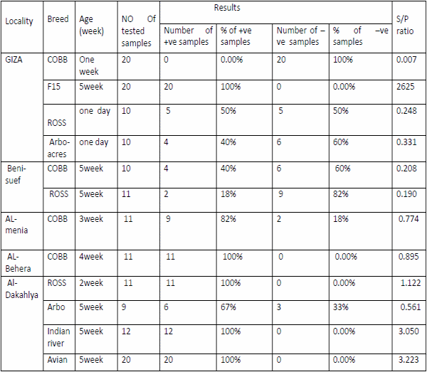 Role of histopathological examination in diagnosis of avian leucosis virus subtype J in broiler chicken in Egypt - Image 42