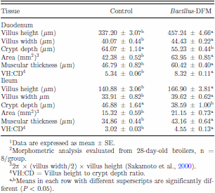 Effects of the inclusion of a Bacillus direct-fed microbial on performance parameters, bone quality, recovered gut microflora, and intestinal morphology in broilers consuming a grower diet containing corn distillers dried grains with solubles - Image 6