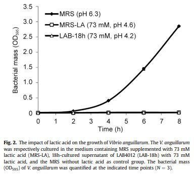 Dietary supplementation of Pediococcus pentosaceus enhances innate immunity, physiological health and resistance to Vibrio anguillarum in orange-spotted grouper (Epinephelus coioides) - Image 4