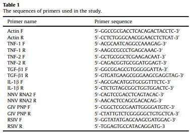 Dietary supplementation of Pediococcus pentosaceus enhances innate immunity, physiological health and resistance to Vibrio anguillarum in orange-spotted grouper (Epinephelus coioides) - Image 1