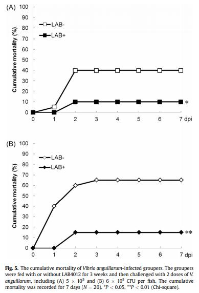 Dietary supplementation of Pediococcus pentosaceus enhances innate immunity, physiological health and resistance to Vibrio anguillarum in orange-spotted grouper (Epinephelus coioides) - Image 7