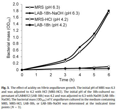 Dietary supplementation of Pediococcus pentosaceus enhances innate immunity, physiological health and resistance to Vibrio anguillarum in orange-spotted grouper (Epinephelus coioides) - Image 5