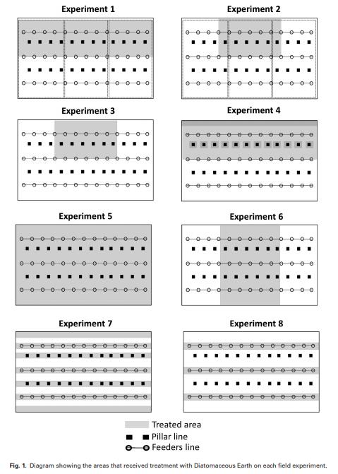 Field Assessments to Control the Lesser Mealworm (Coleoptera: Tenebrionidae) Using Diatomaceous Earth in Poultry Houses - Image 1