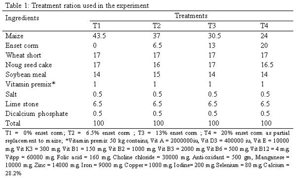 The Effects of Partial Substitution of Maize with Enset (Ensete ventricosum) Corm on Production and Reproduction Performance of White Leghorn Layer - Image 1