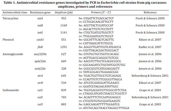 Genotyping and antimicrobial resistance in Escherichia coli from pig carcasses - Image 1