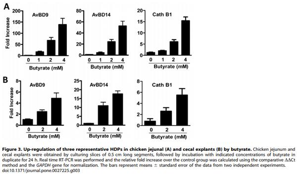 Butyrate Enhances Disease Resistance of Chickens by Inducing Antimicrobial Host Defense Peptide Gene Expression - Image 4