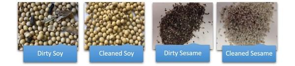 Over 125 Years Of Oilseed Processing - Image 9