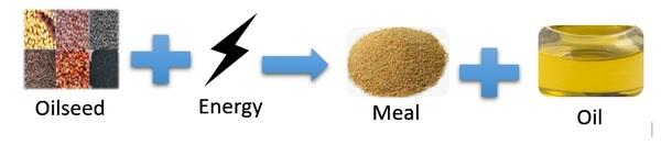 Over 125 Years Of Oilseed Processing - Image 4