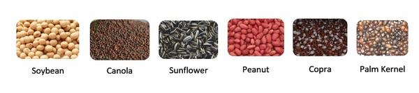 Over 125 Years Of Oilseed Processing - Image 3