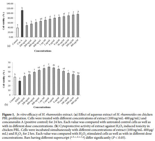 Hippophae rhamnoides as novel phytogenic feed additive for broiler chickens at high altitude cold desert - Image 3