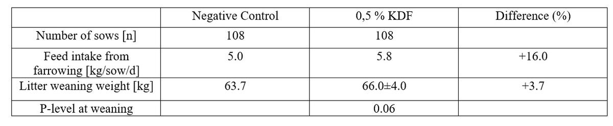 Effects of Formi (potassium diformate) on body condition and performance in sows - Image 2