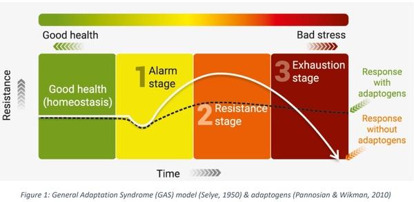 GAS, that weakens the general immunity in chickens - Image 1