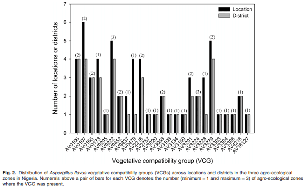 Environmental distribution and genetic diversity of vegetative compatibility groups determine biocontrol strategies to mitigate aflatoxin contamination of maize by Aspergillus flavus - Image 4