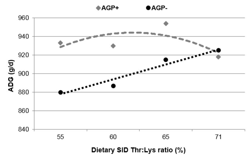 Functional amino acids to improve the immunity of pigs - Image 8