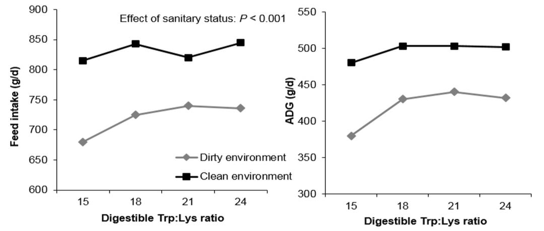Functional amino acids to improve the immunity of pigs - Image 5