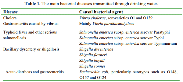 Water Microbiology. Bacterial Pathogens and Water - Image 1