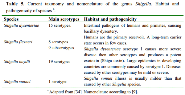 Water Microbiology. Bacterial Pathogens and Water - Image 5