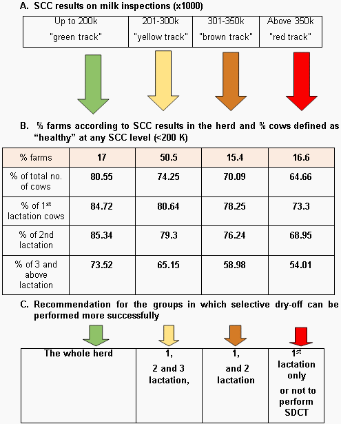 Selective Dry Cow Treatment (SDCT)– based on evidences - Image 6